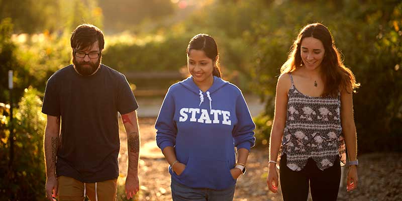 Three individuals outside with trees in the background. On the left is a man with brown hair and a matching beard and mustache. He wears a grey T-shirt. In the middle is a woman with brown hair pulled back in a ponytail. She wears a blue STATE hoodie. On the right is a woman with brown hair. She wears a black-and-white patterned tank top.