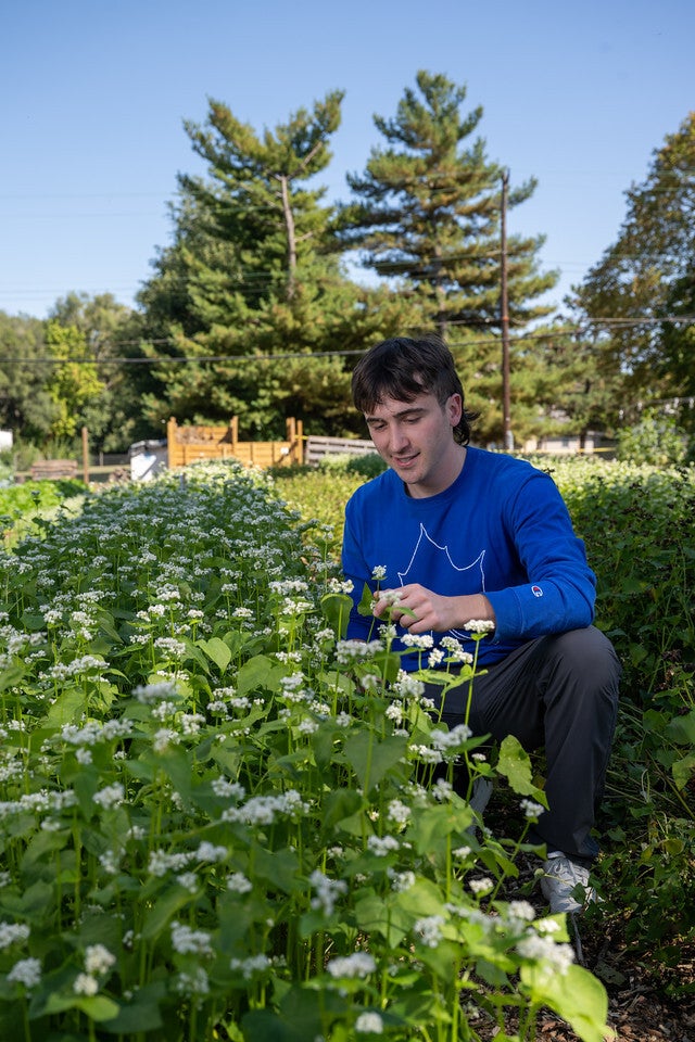 "A young White man with short brown hair wearing a blue long-sleeve shirt with a white sycamore leaf design kneels among green plants with small white flowers in a garden."