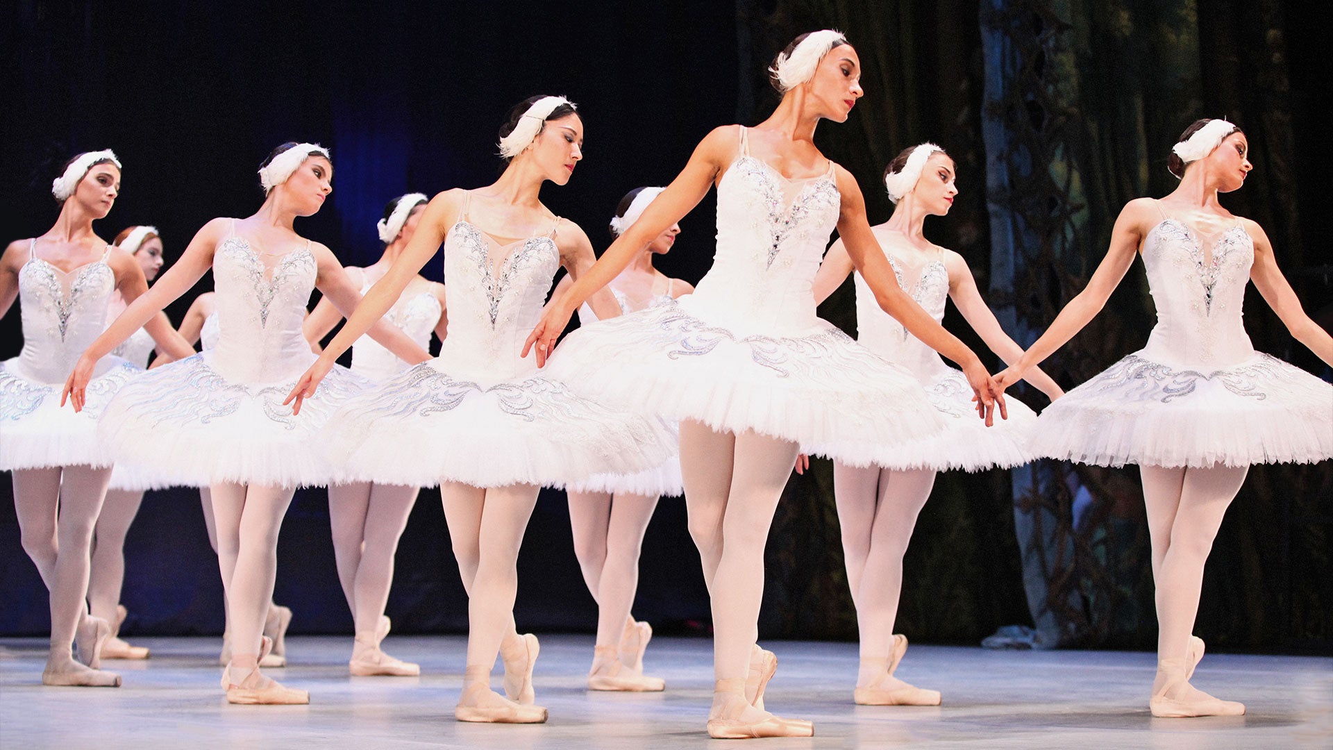 A line of female ballet dancers in classical white tutus and feather headpieces performing on stage, holding synchronized poses in pointe shoes.