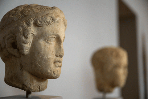 Two portrait busts on display. The sculpture closest to the camera is clearly visible while the other sculpture and background is blurred.